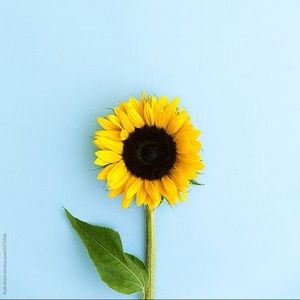 Meet your Posher, Amelia